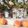 Bougie N°17 Pêche — fruitée & gourmande | Hello Candle Suisse