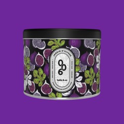 Bougie N°006 Jardin d'Ulysse — Feuille de figuier | Hello Candle Suisse