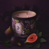 Bougie N°006 Jardin d'Ulysse — Feuille de figuier | Hello Candle Suisse