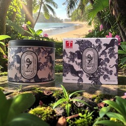 Bougie N°97 Vétiver — boisée & élégante | Hello Candle Suisse