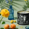 Bougie Astrologie Cancer – Hello Candle | Boutique Bien-Être