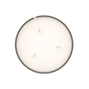 Bougie N°66 Mexico — Fève de tonka chaude | Hello Candle Suisse