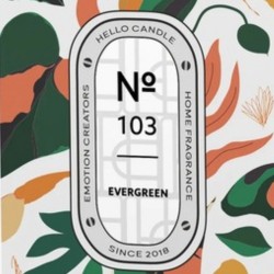 Parfum d’ambiance No 103 Evergreen — Mousse de chêne | Hello Candle