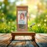 Infusion — Libellule