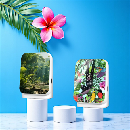 Junglebox — La boite à gazouillis de Tarzan