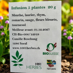 Infusion — 5 plantes