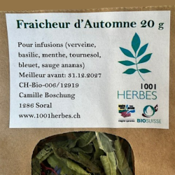 Infusion — Fraicheur d'automne