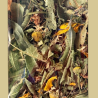 Infusion — Schlaf guet