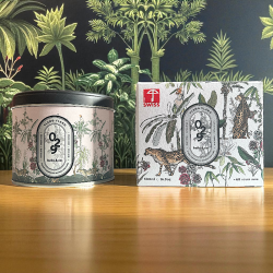 Bougie — N°29 Ylang ylang