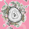 Bougie — N°29 Ylang ylang