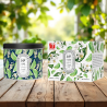 Bougie — N°45 Citron vert