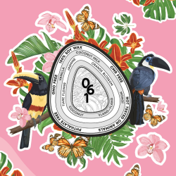 Bougie — N°61 Coco monoÏ