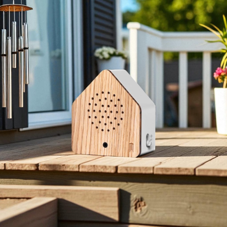 Boite à gazouillis — Satellitebox carillon