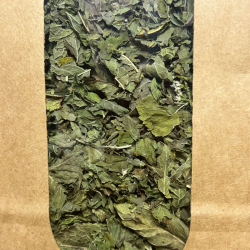 Infusion — Menthe marocaine