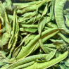 Infusion verveine citronnée bio – Détente & usage culinaire | 1001 Herbes